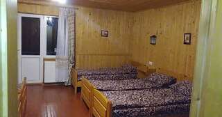 Гостевой дом Дім з видом на гори. Vizhenka Односпальная кровать в общем номере для женщин-3